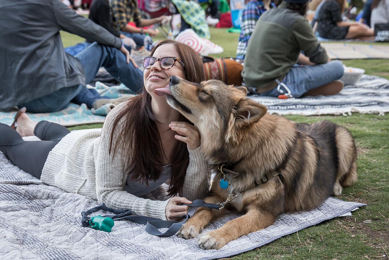 Dog Friendly Apartments Dallas